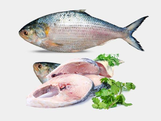 Hilsa