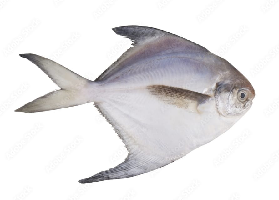 Pomfret