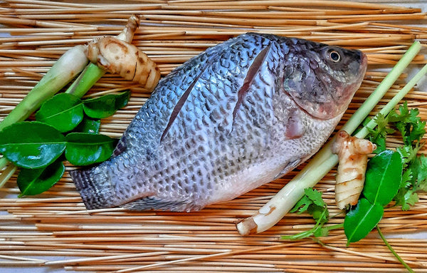 Telapiya Fresh – My Store